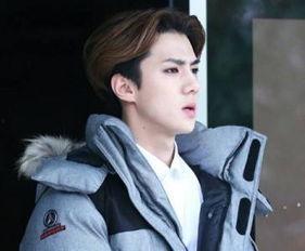 姓燕的明星,璀璨星河中的闪耀星辰