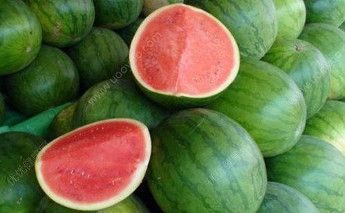 小产可以吃烧瓜吗,烧瓜的益处与食用建议