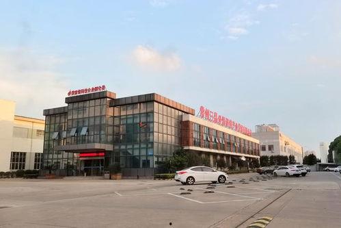 常州网红技术,揭秘打造城市新名片的力量