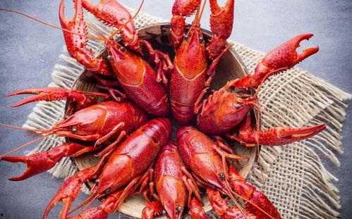 头条号湖底小虾,揭秘水下生态的奇妙世界