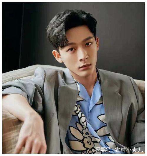 十堰明星有哪些,盘点闪耀舞台的璀璨星辰