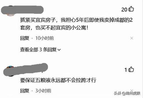 今日头条挑战书,揭秘新媒体时代下的传播奥秘