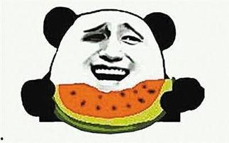 不想当刺儿头的吃瓜者,不想当刺儿头的吃瓜者众生相