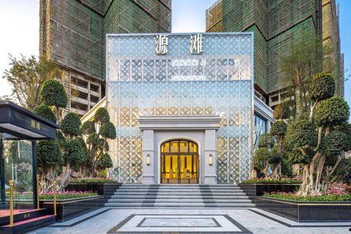 麒麟网红,网络红人的崛起与影响力