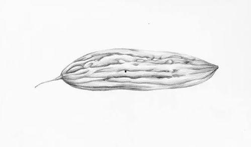 吃半生瓜,探寻瓜果的独特风味