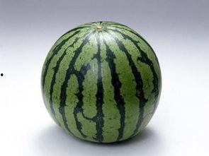 减肥可以吃玉瓜吗,健康美味两不误