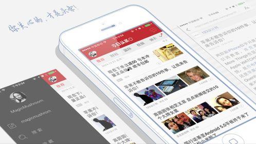 头条小店用什么订单编号