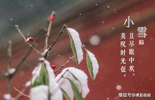 节气红网小雪,寒意渐浓，养生保健正当时