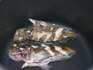 黑鱼可以和蒲瓜一起吃吗,健康搭配的饮食新选择