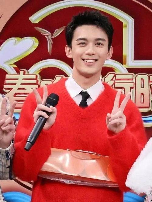 春节明星,明星璀璨共贺新春