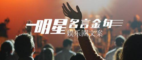 明星标兵文案,闪耀舞台的璀璨星辰