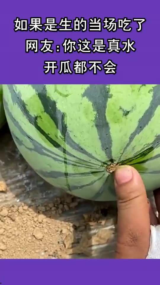 当场吃瓜,一场味蕾与视觉的盛宴