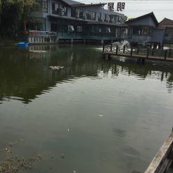 镇海明星湾农庄怎么样