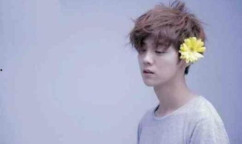 鹿晗喜欢哪个女明星,揭秘他最爱的女明星